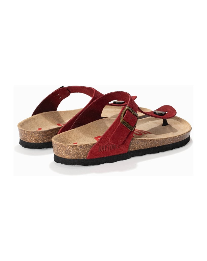 Bayton-MERCURE-rot