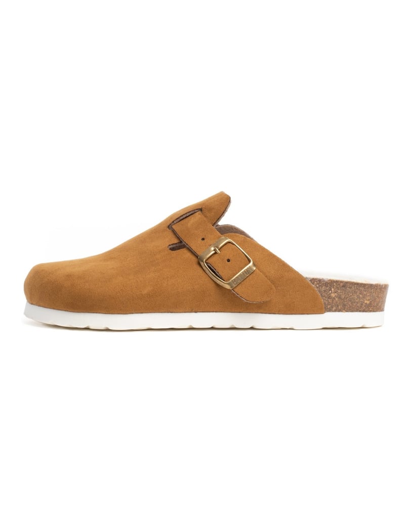 Bayton-KIRALY-camel-
