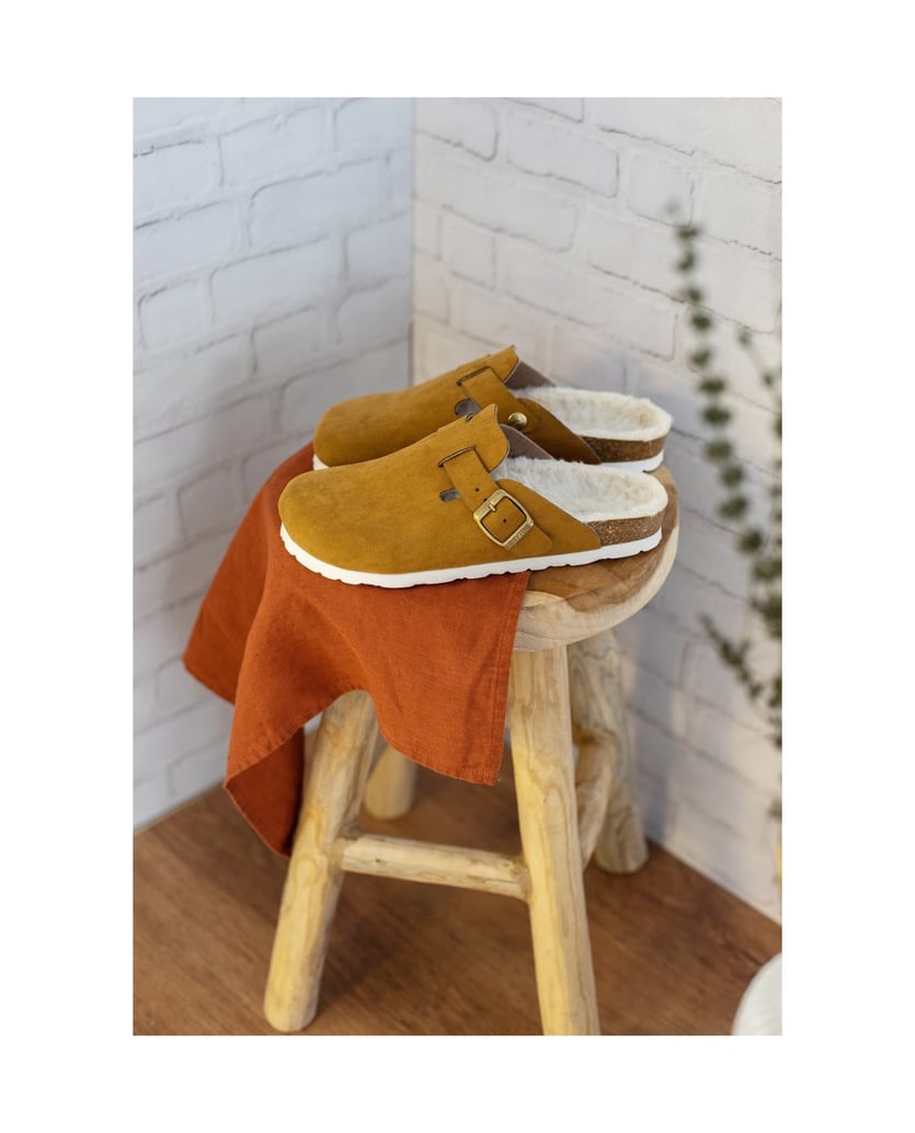 Bayton-KIRALY-camel-