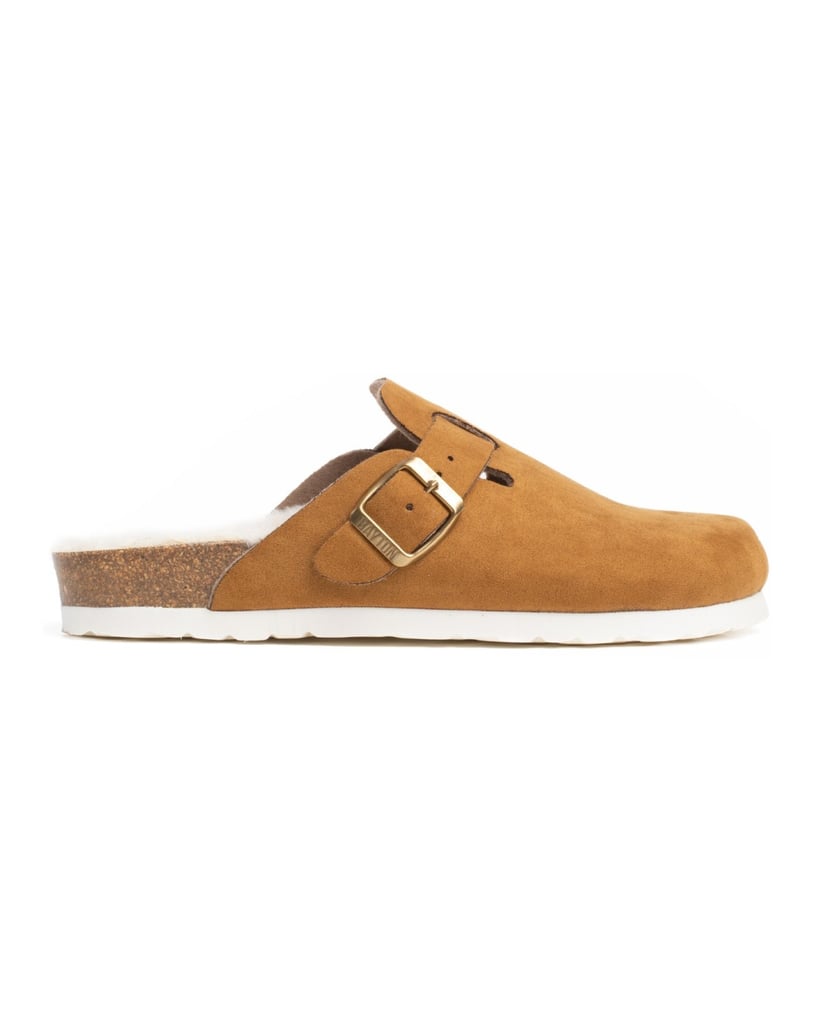 Bayton-KIRALY-camel-