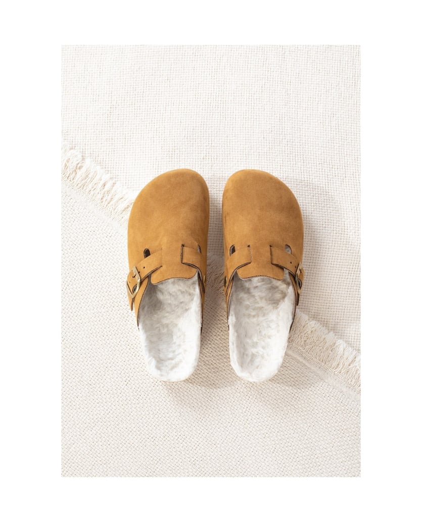 Bayton-KIRALY-camel-