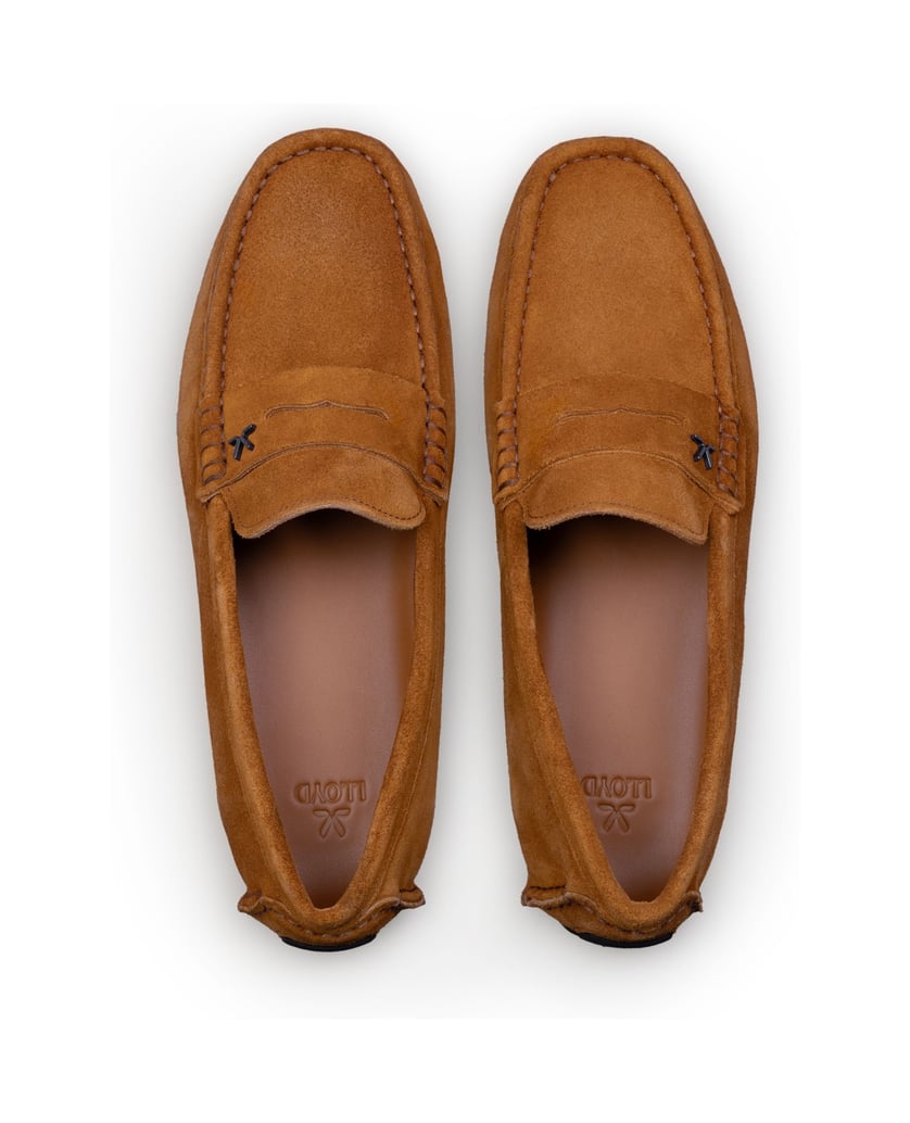 Lloyd-ROVER-cognac